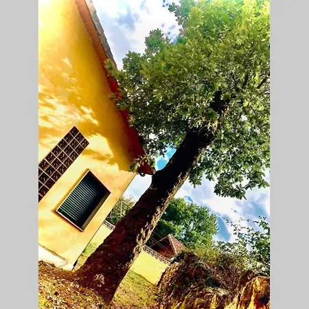 Holiday home Casa Con Encanto A Capilla